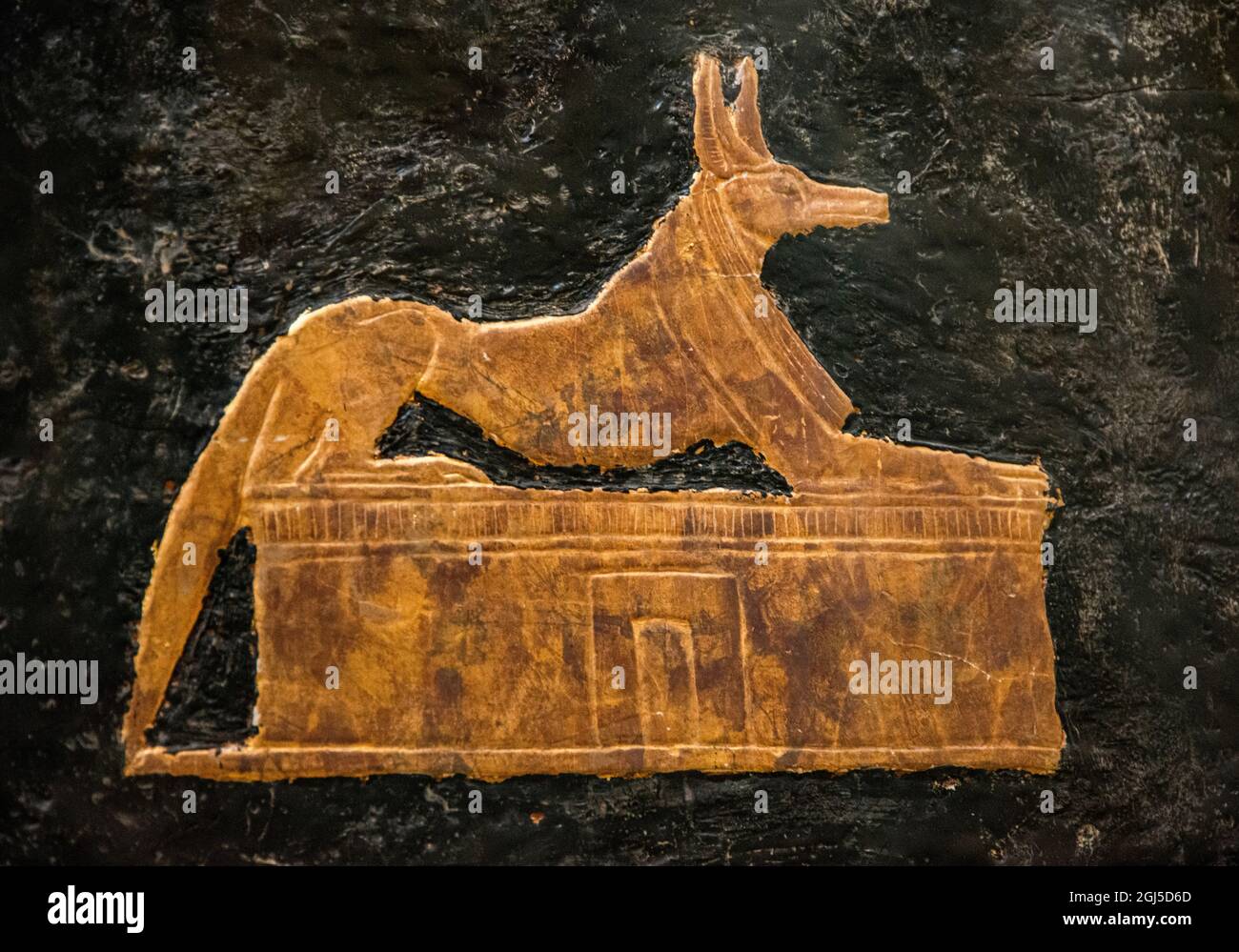 Nilexpedition, Unterägypten, Ägyptisches Antikenmuseum (auch Ägyptisches Museum genannt), Anubis (schakalgott) auf Sarkophag Stockfoto
