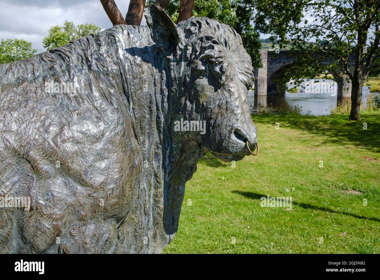 Bronze lebensgroße Skulptur eines walisischen schwarzen Stiers, Groe Park, Builth Wells, Powys, Wales Stockfoto
