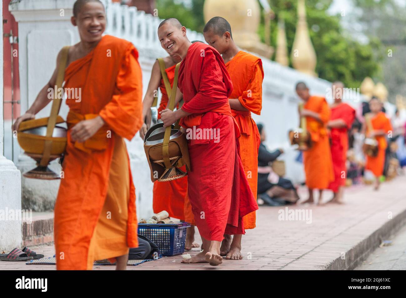 Laos, Luang Prabang. Tak bat im Morgengrauen, Prozession buddhistischer Mönche, die Almosen einsammelten. Stockfoto