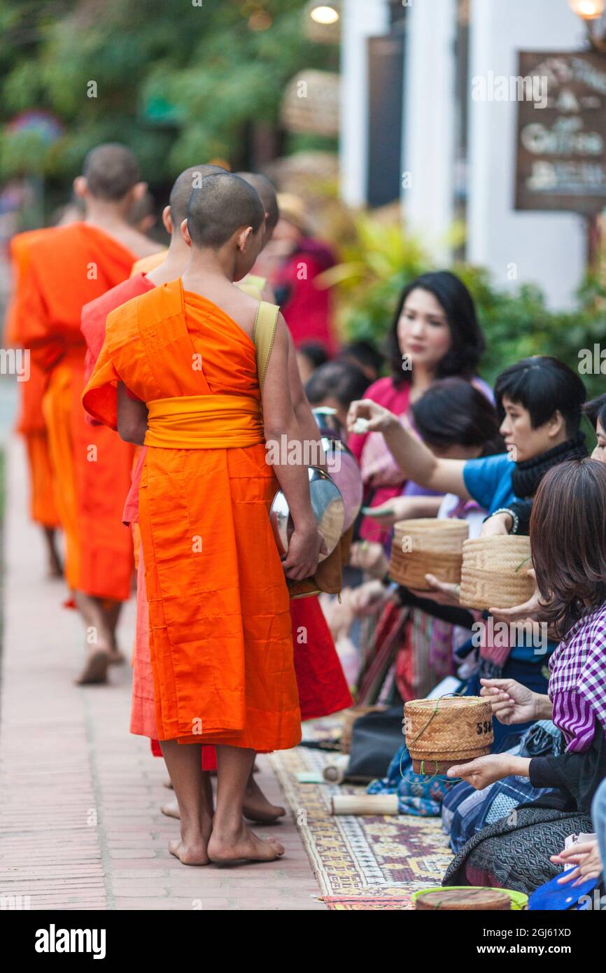 Laos, Luang Prabang. Tak bat im Morgengrauen, Prozession buddhistischer Mönche, die Almosen einsammelten. Stockfoto