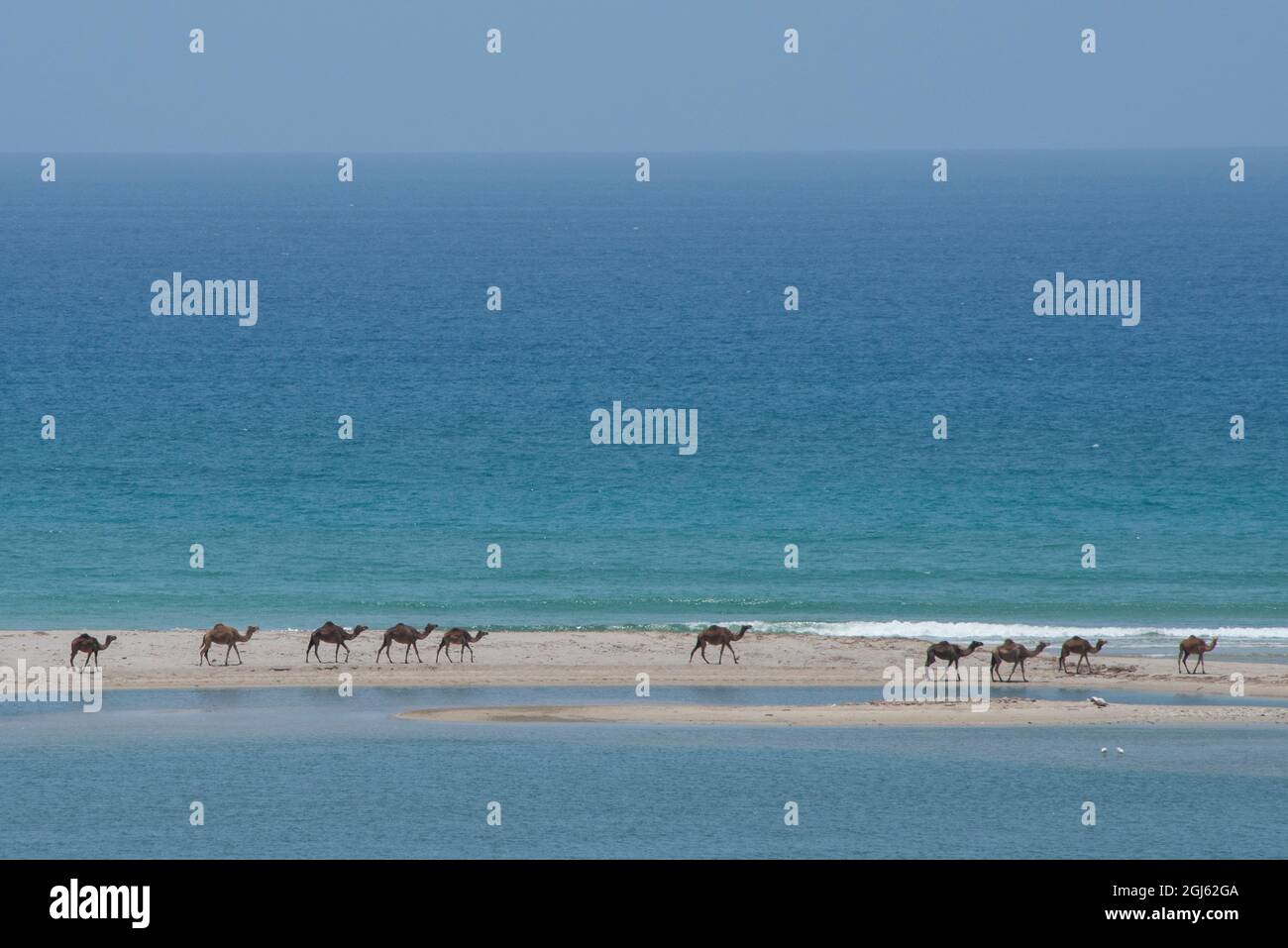 Oman und Dhofar Region, in der Nähe von Salalah, Khor Rori. Strand Blick auf das Arabische Meer von historischen Sumhuram, Teil der Weihrauch Trail. Gehört der Wilden kam Stockfoto