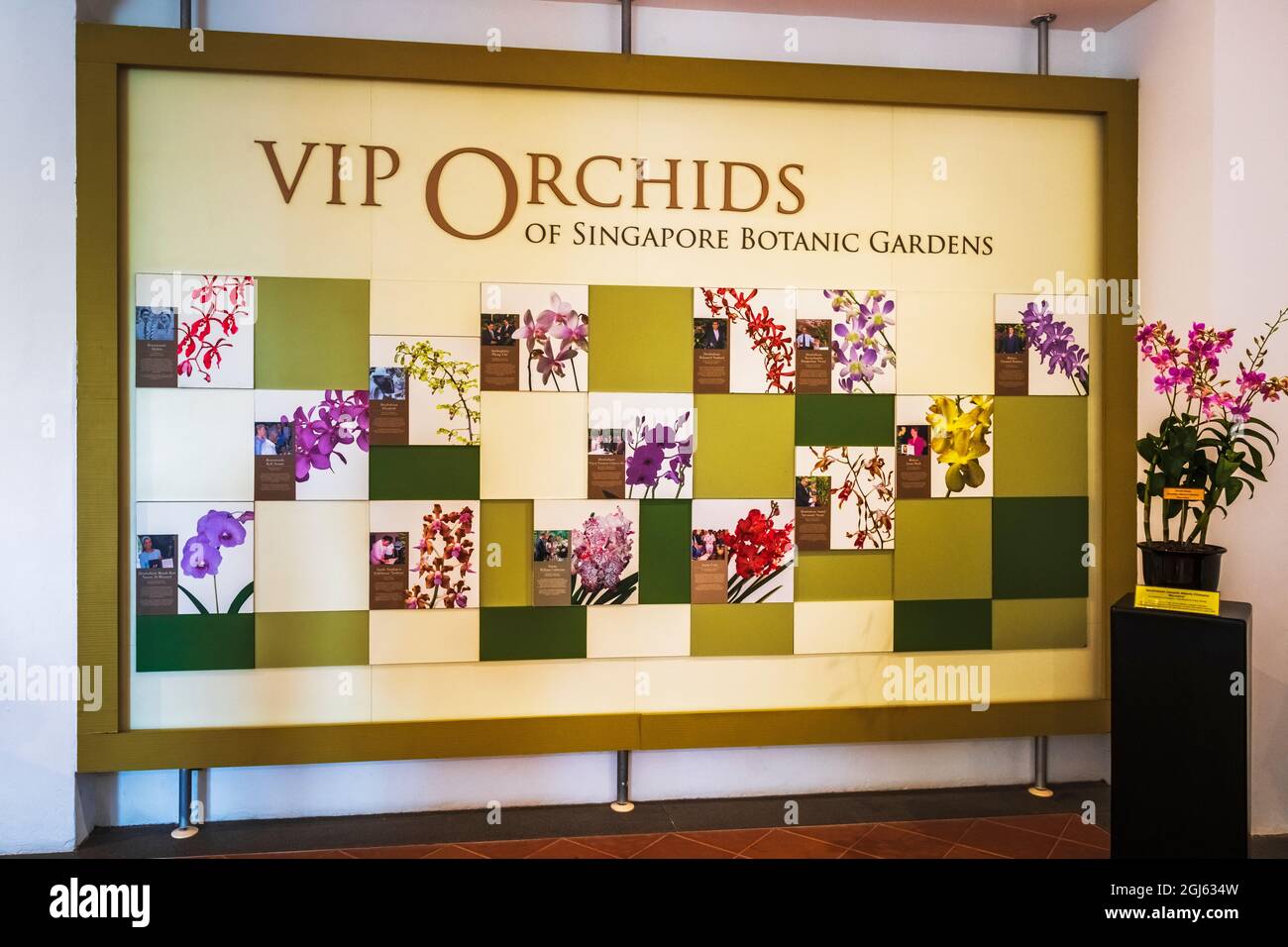 Ausstellung im National Orchid Garden, Singapur. Stockfoto