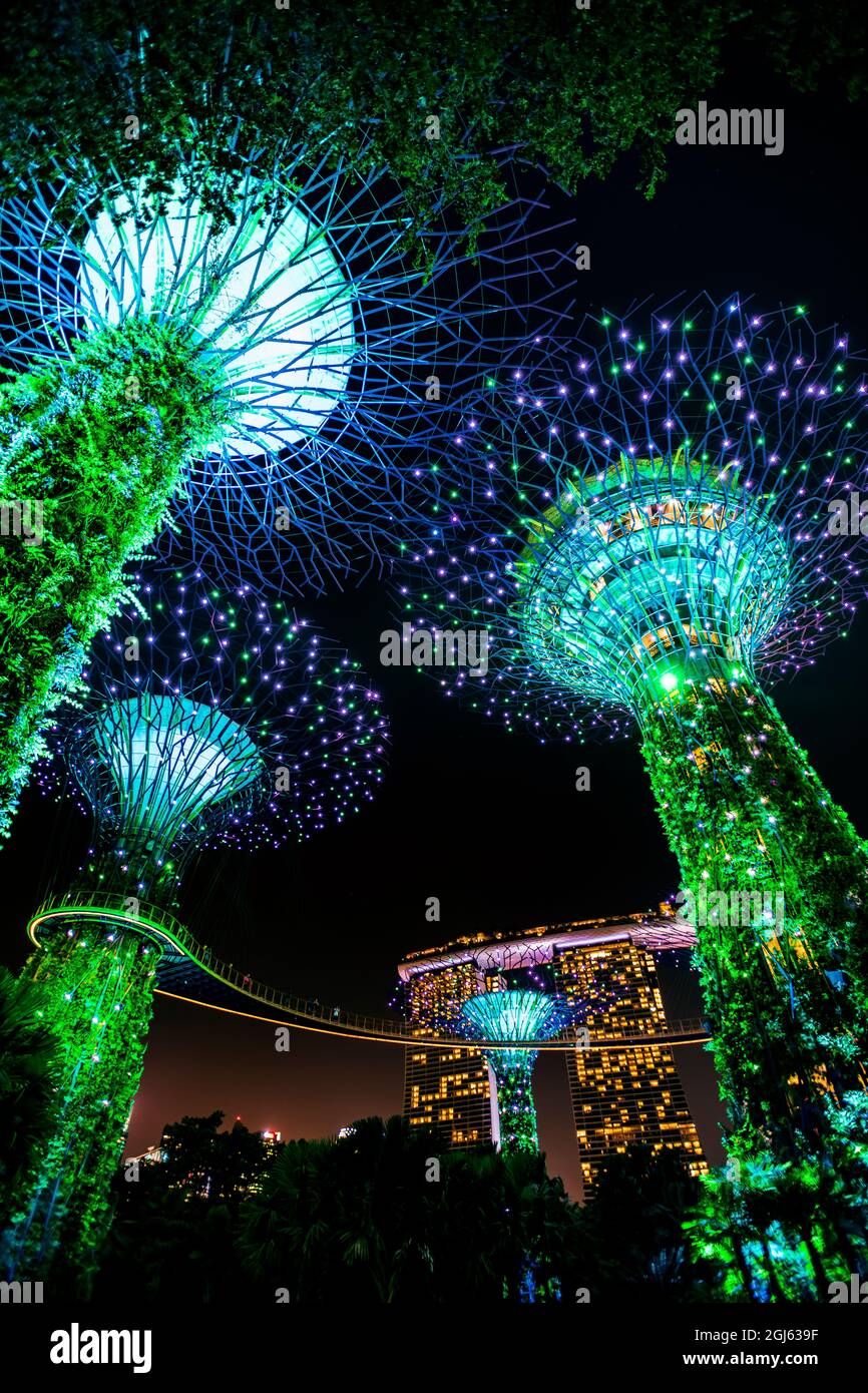 Garden Rhapsody Supertree Lichtshow, Gardens by the Bay, Singapur. Stockfoto