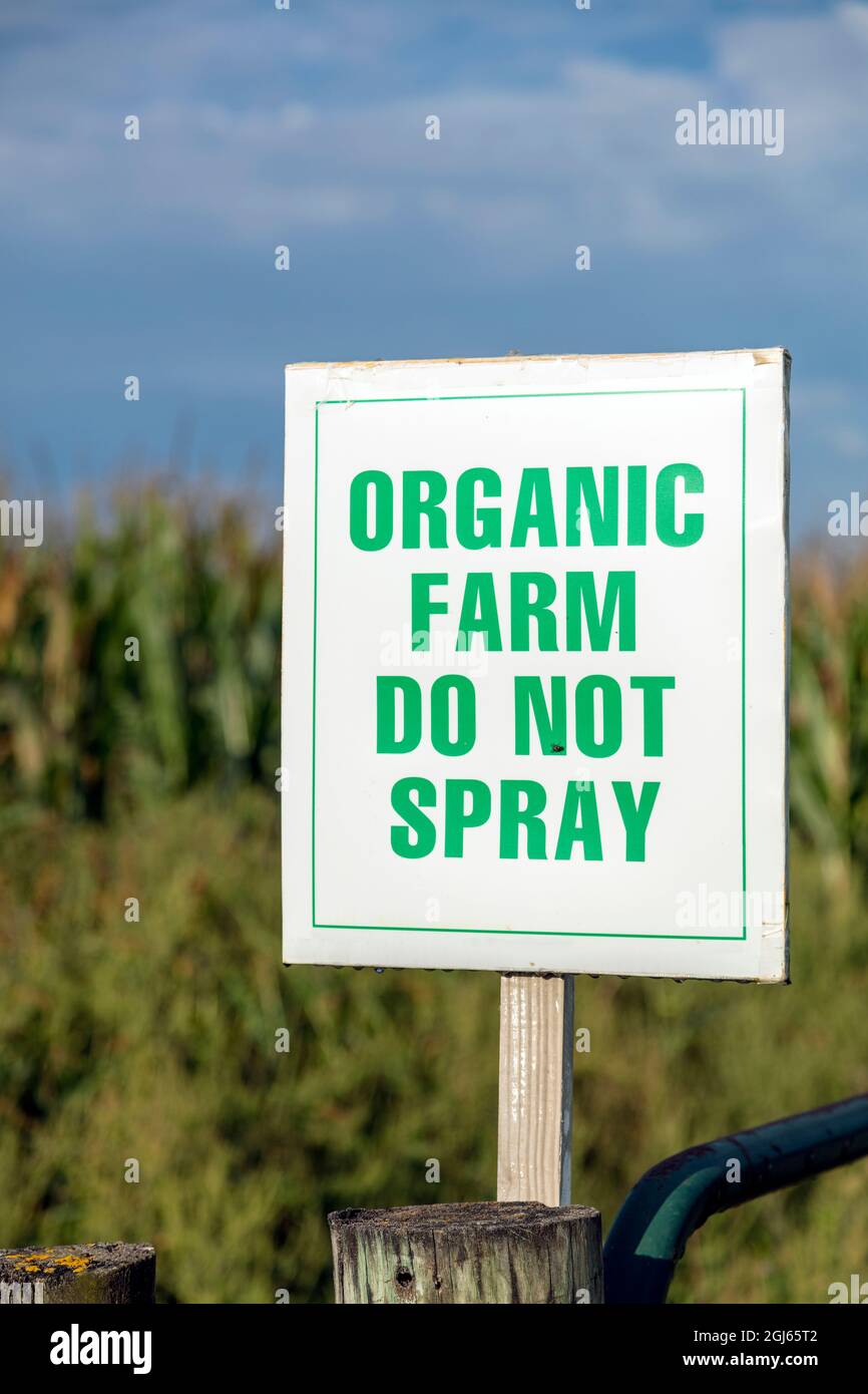Schild, Organic Farm Don't Spray, USA, von James D. Coppinger/Dembinsky Photo Assoc Stockfoto