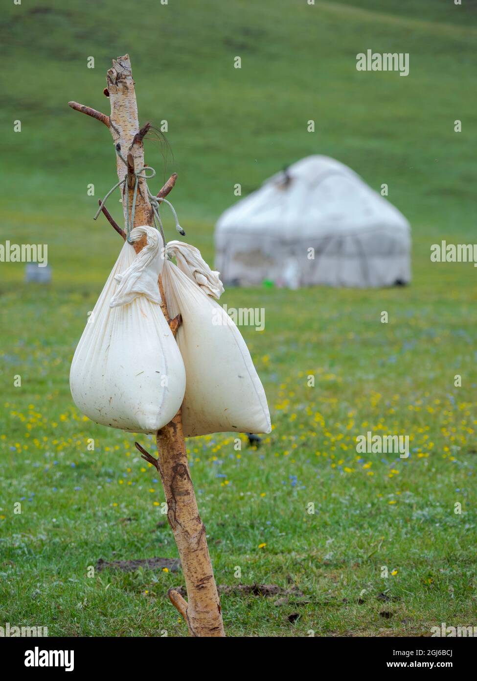 Traditionelle Herstellung von Jogurt und Kaschk. Das Alaj-Tal im Pamir-Gebirge. Asien, Zentralasien, Kirgisistan Stockfoto