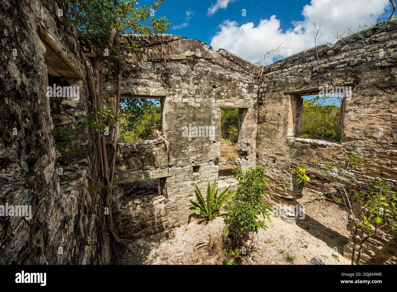 Wade's Green Plantation Historic Site, North Caicos, Turks- und Caicos-Inseln, Karibik. Stockfoto