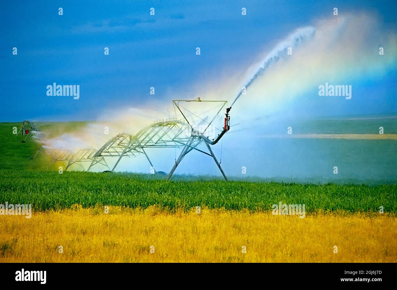 Kanada, Alberta, Monarch. Bewässerung einer landwirtschaftlichen Ernte. Stockfoto
