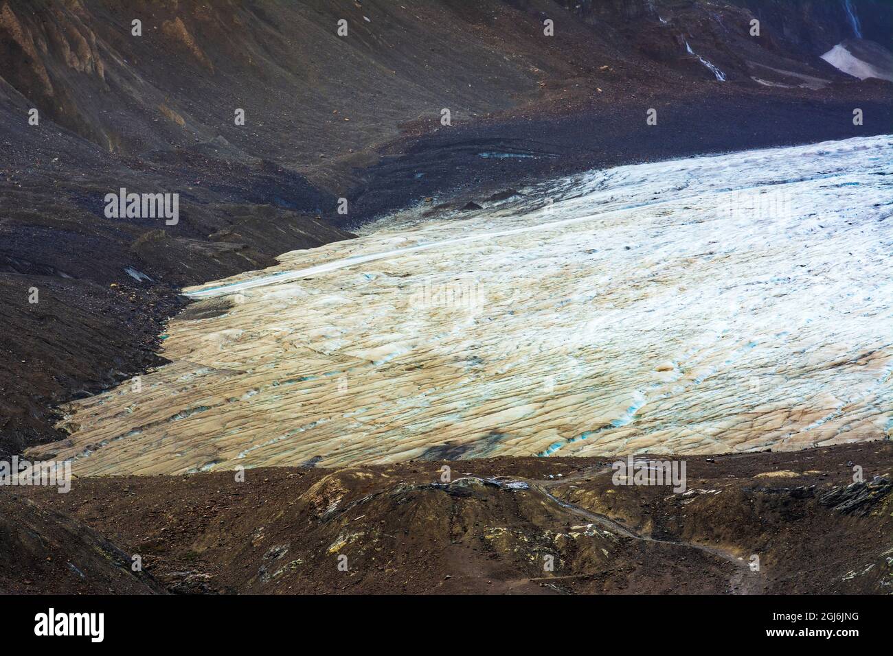 Athabasca Glacier, Jasper National Park, Alberta, Kanada Stockfoto