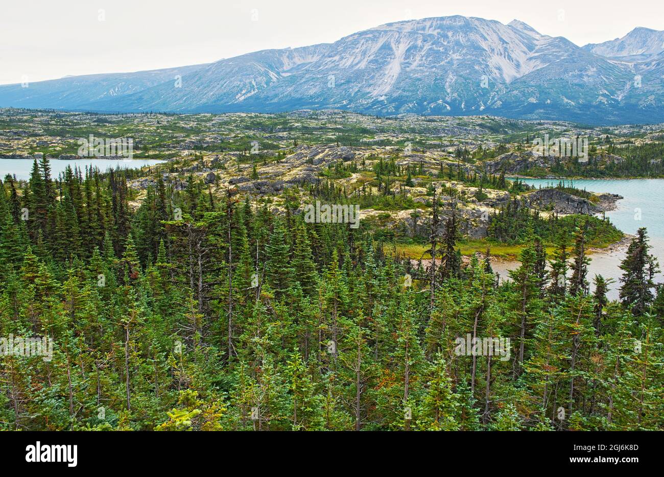 Kanada, British Columbia, Chilkoot. Landschaft mit See und Küstengebirge. Auf dem Südklondike Highway Stockfoto
