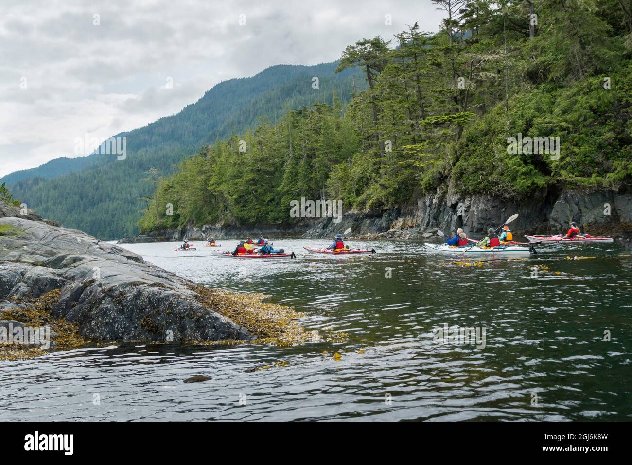 Kanada, British Columbia. Seekajaker paddeln entlang der Küste von Vancouver Island in der Johnstone Strait. Stockfoto