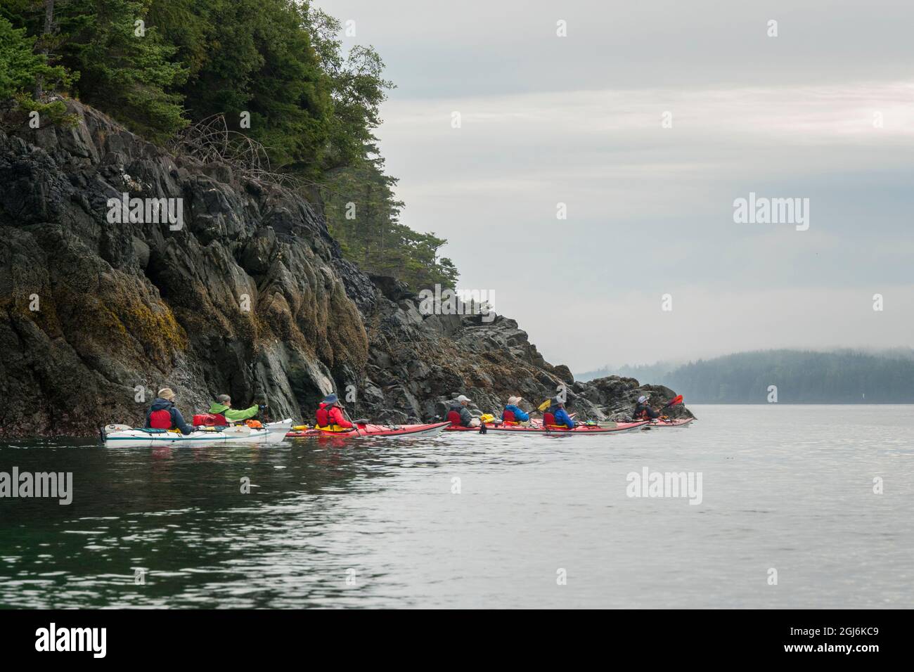 Kanada, British Columbia. Seekajaker paddeln entlang der Küste von Hansen Island in der Johnstone Strait. Stockfoto