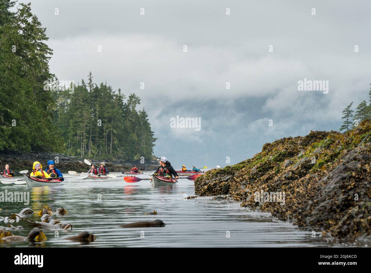 Kanada, British Columbia. Seekajaker paddeln durch die Blackney Passage auf einem Abenteuer in der Nähe der Johnstone Strait. Stockfoto