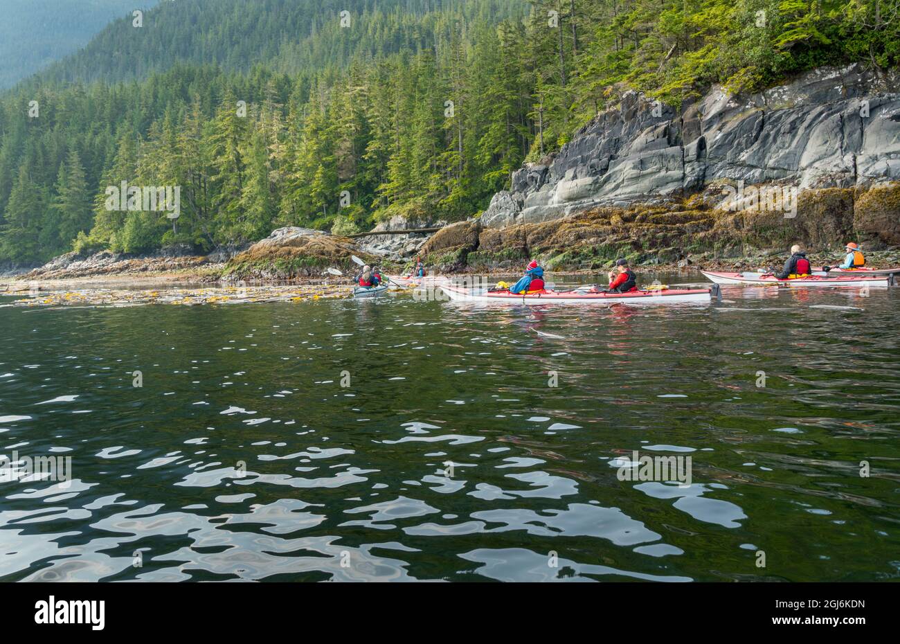 Kanada, British Columbia. Seekajaker paddeln bei Ebbe entlang der Küste von Vancouver Island in der Johnstone Strait. Stockfoto
