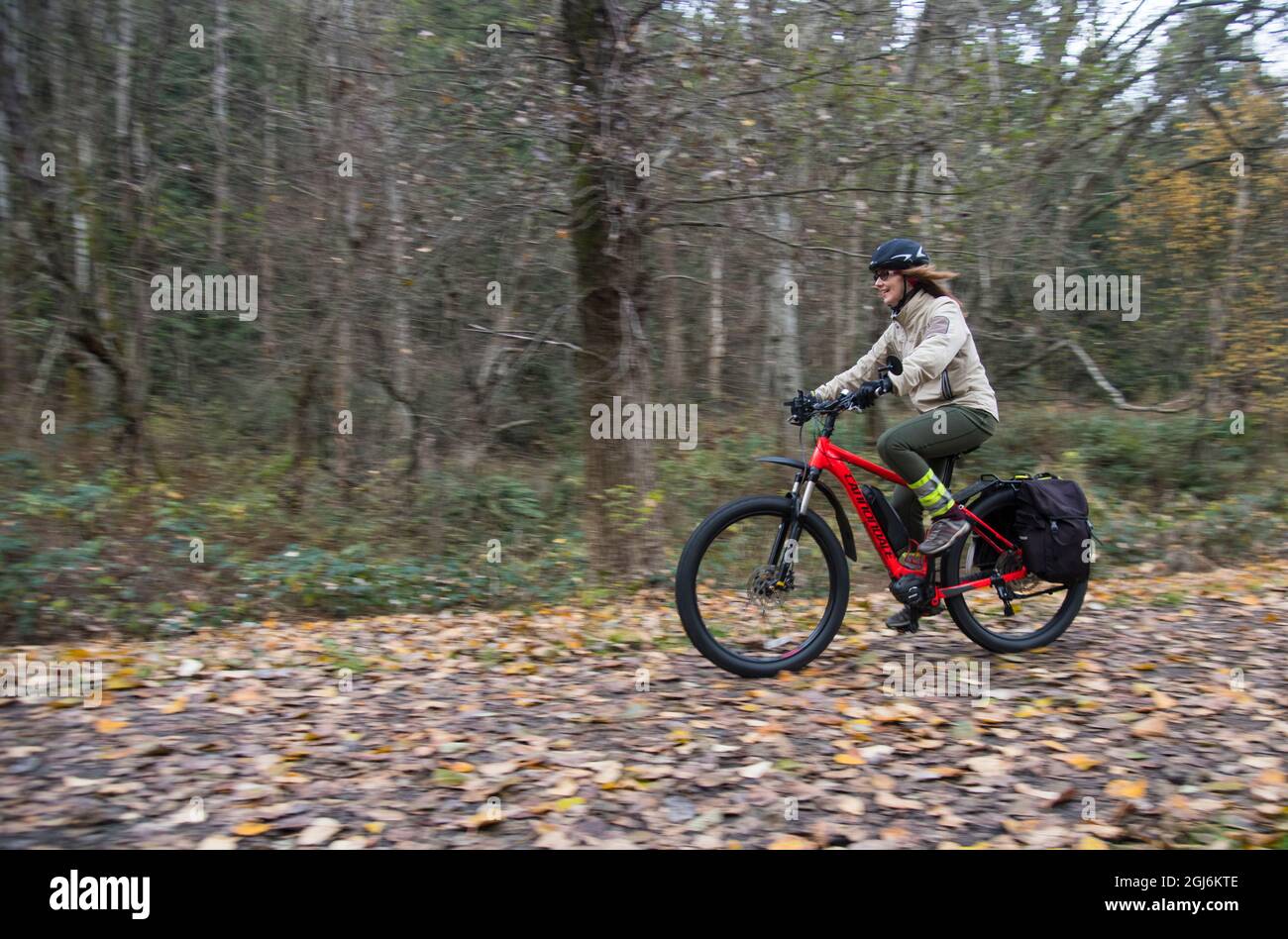 Radfahren im Delta in einem Regenwald an der Westküste auf einem eMTB. Stockfoto