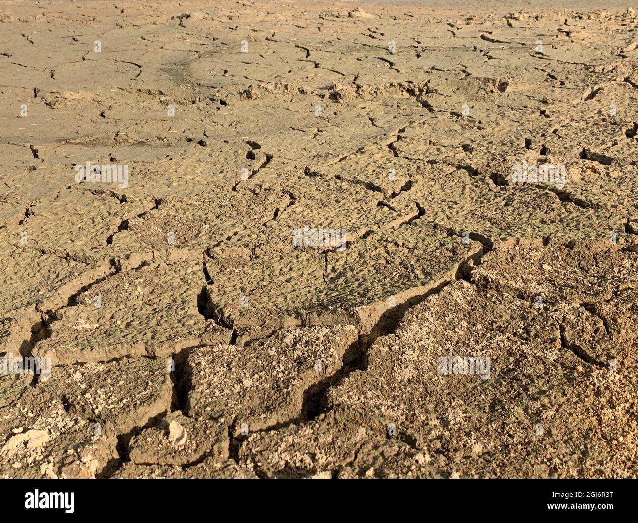 Der rissige Schlamm des trockenen Bodens des Wasserreservoirs im Sommer Stockfoto