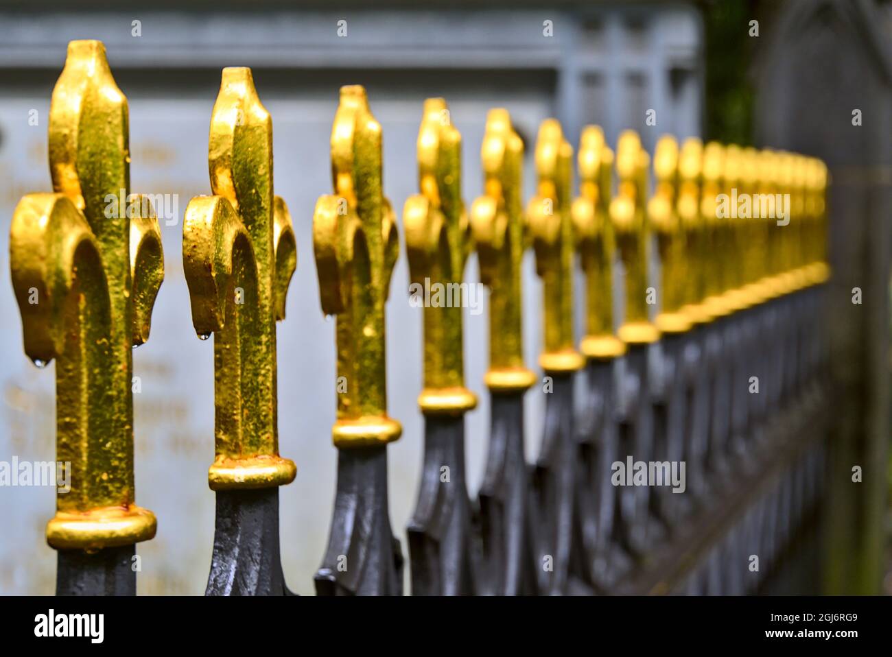 Teil eines dekorativen goldfarbenen Metallzauns Stockfoto