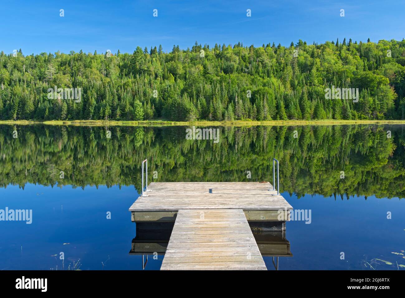 Kanada, Quebec, Nationalpark La Mauricie. Baumreflexion und Dock in Lac Modene. Kredit als: Mike Grandmaison / Jaynes Gallery / DanitaDelimont. com Stockfoto
