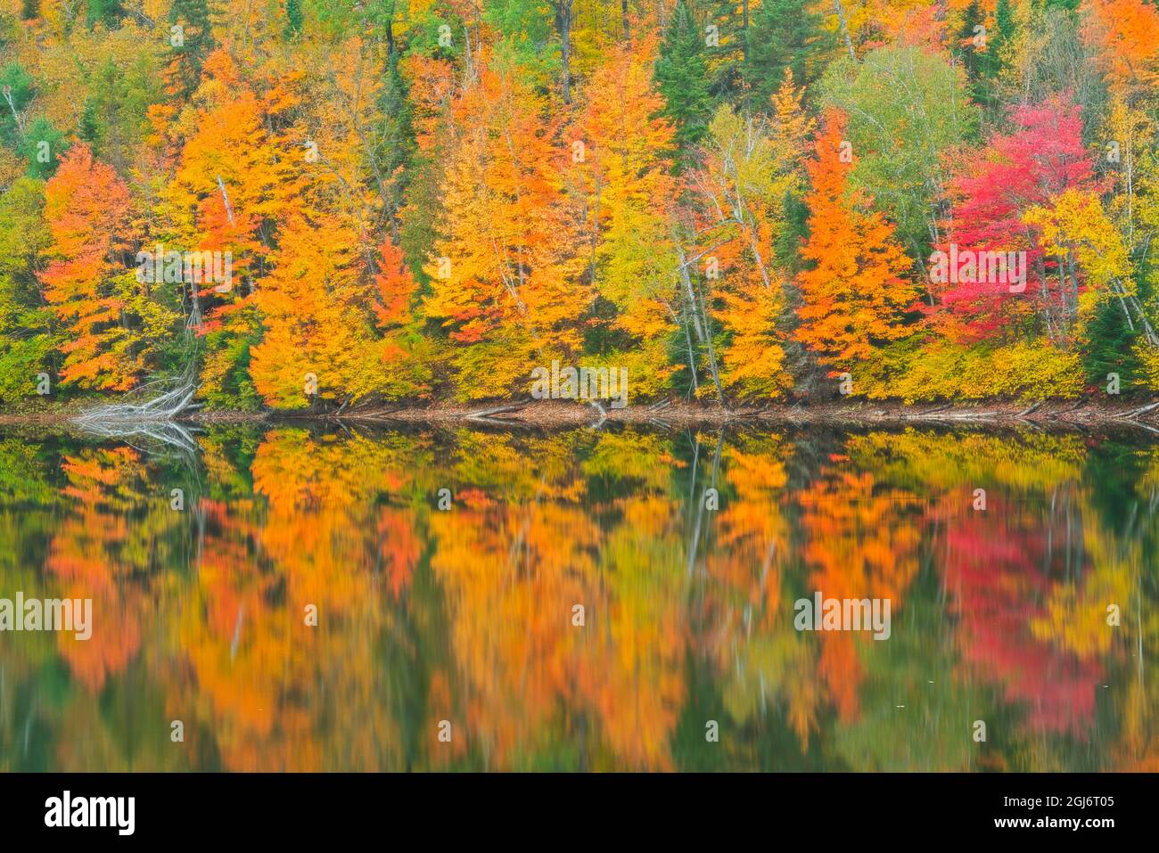 Kanada, Quebec, Saint-Mathieu-du-Parc. Herbstfarben spiegeln sich im Lac Trudel wider. Kredit als: Mike Grandmaison / Jaynes Gallery / DanitaDelimont. com Stockfoto