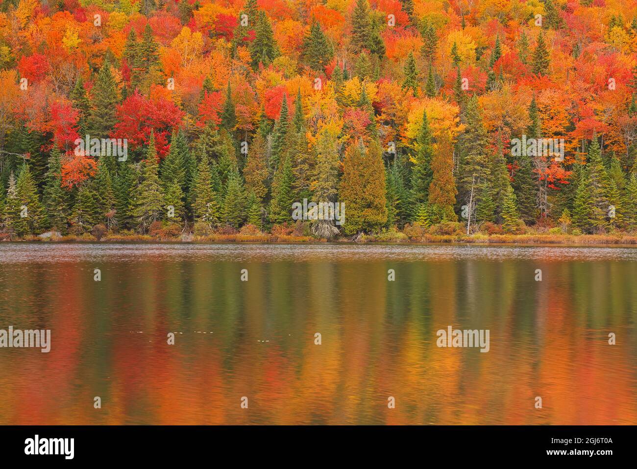Kanada, Quebec, Nationalpark La Mauricie. Herbstfarben spiegeln sich in Lac à Sam wider. Kredit als: Mike Grandmaison / Jaynes Gallery / DanitaDelimont. com Stockfoto