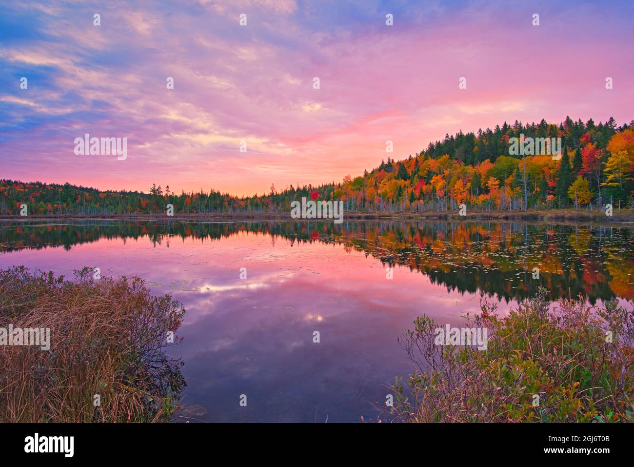 Kanada, Quebec, Nationalpark La Mauricie. Die Herbstfarben des Sonnenaufgangs spiegeln sich im Lac Boyer wider. Kredit als: Mike Grandmaison / Jaynes Gallery / DanitaDelimont Stockfoto