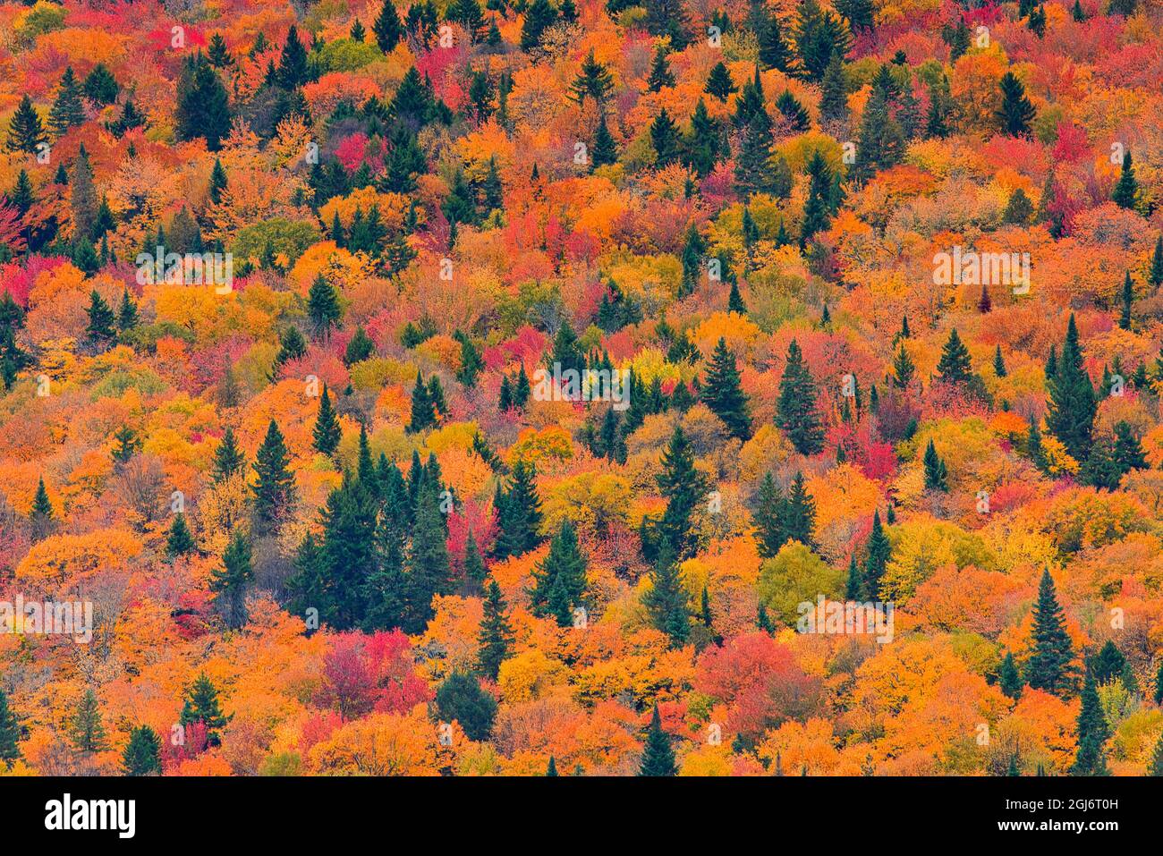 Kanada, Quebec, Nationalpark La Mauricie. Herbstfarben in den Laurentian Mountains. Kredit als: Mike Grandmaison / Jaynes Gallery / DanitaDelimont. c Stockfoto