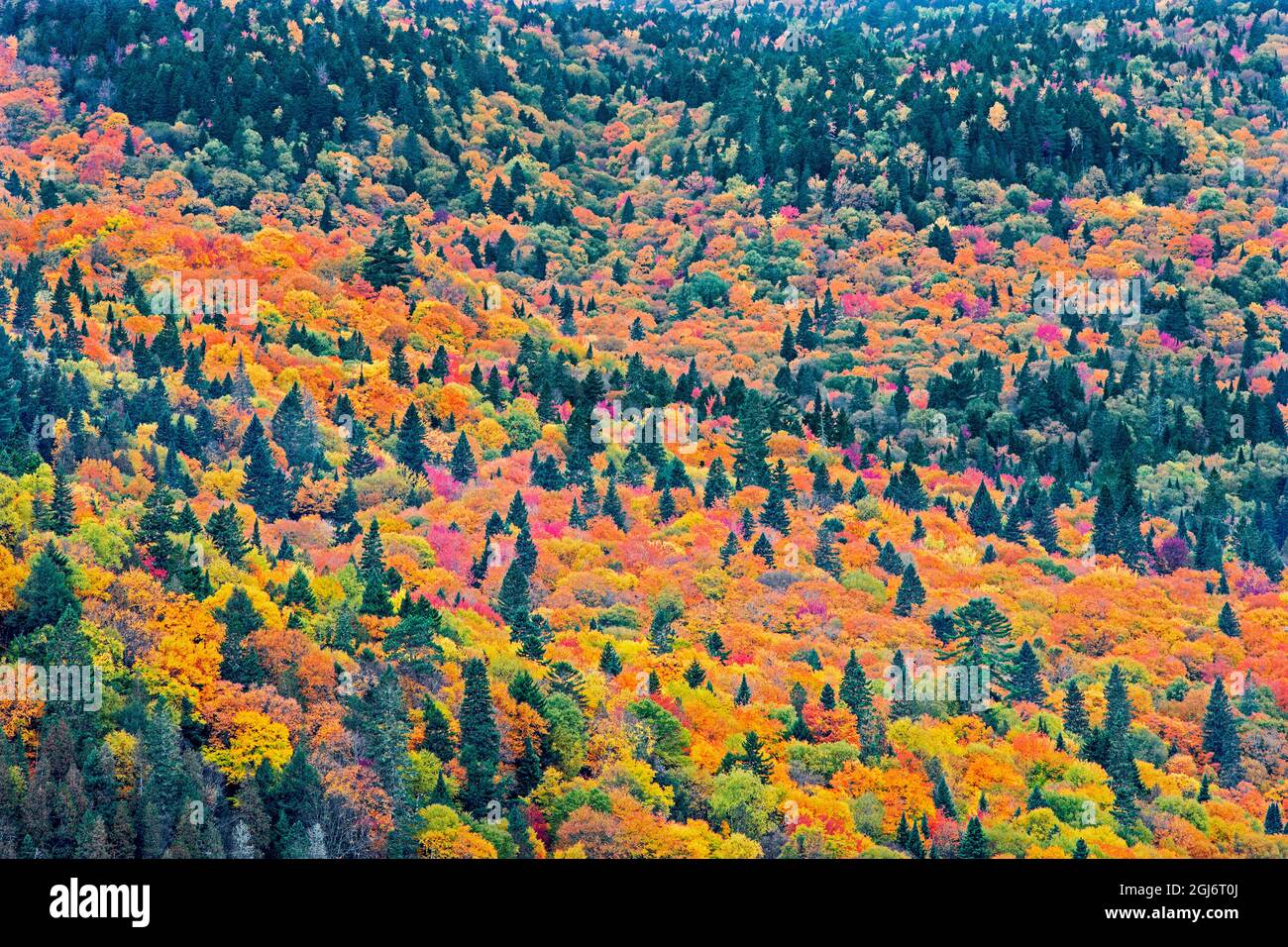 Kanada, Quebec, Nationalpark La Mauricie. Herbstfarben in den Laurentian Mountains. Kredit als: Mike Grandmaison / Jaynes Gallery / DanitaDelimont. c Stockfoto