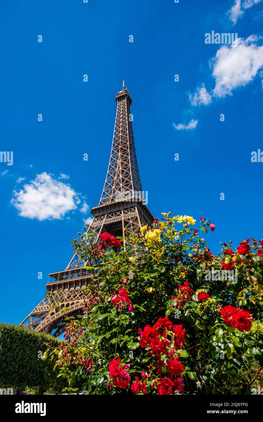 Eiffelturm benannt nach Gustave Eiffel, Paris, Frankreich. Stockfoto