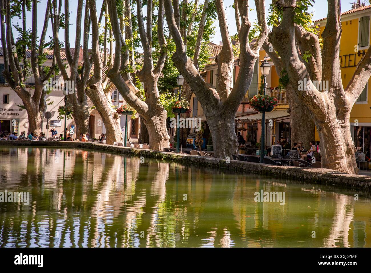 Hohe Bäume spiegeln sich in einem Teich in einem kleinen Dorf in Luberon, Provence, Südfrankreich. Stockfoto