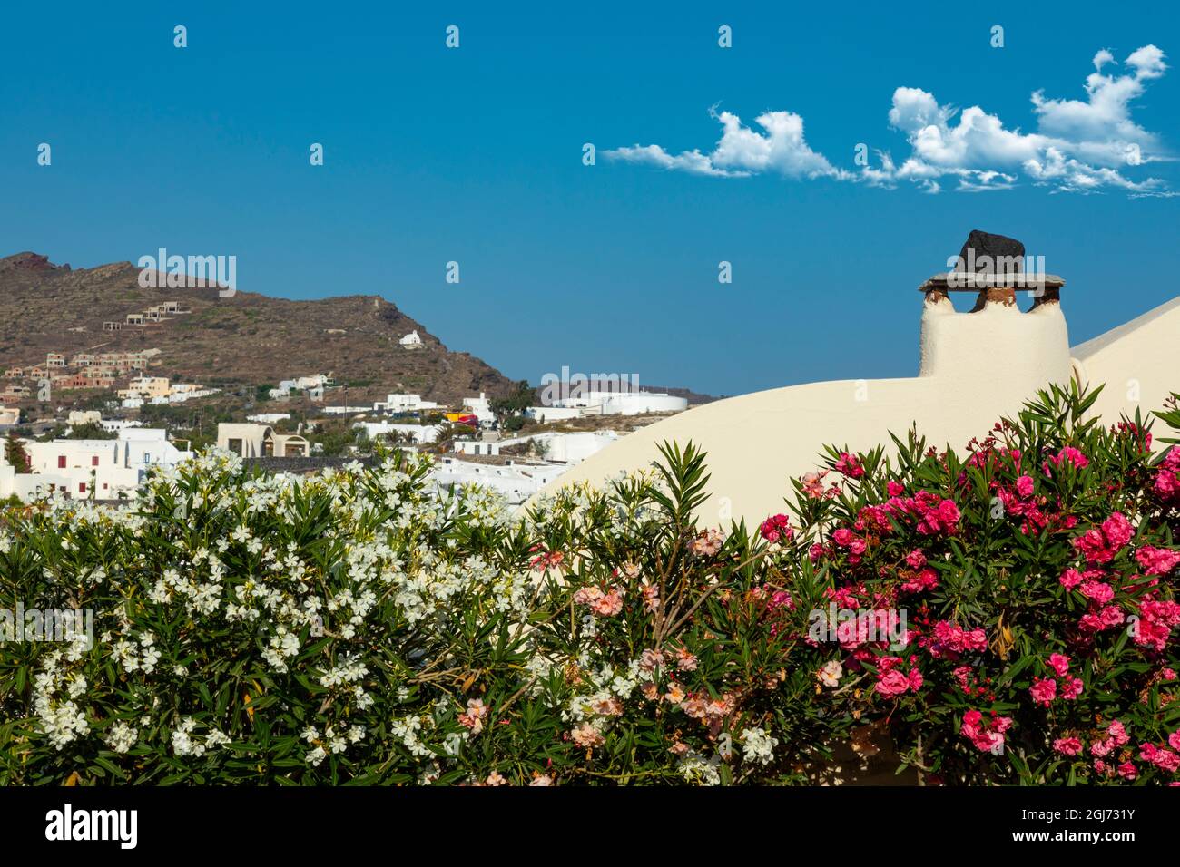 Blumen mit Blick auf Oia, Santorini, Griechenland. Stockfoto