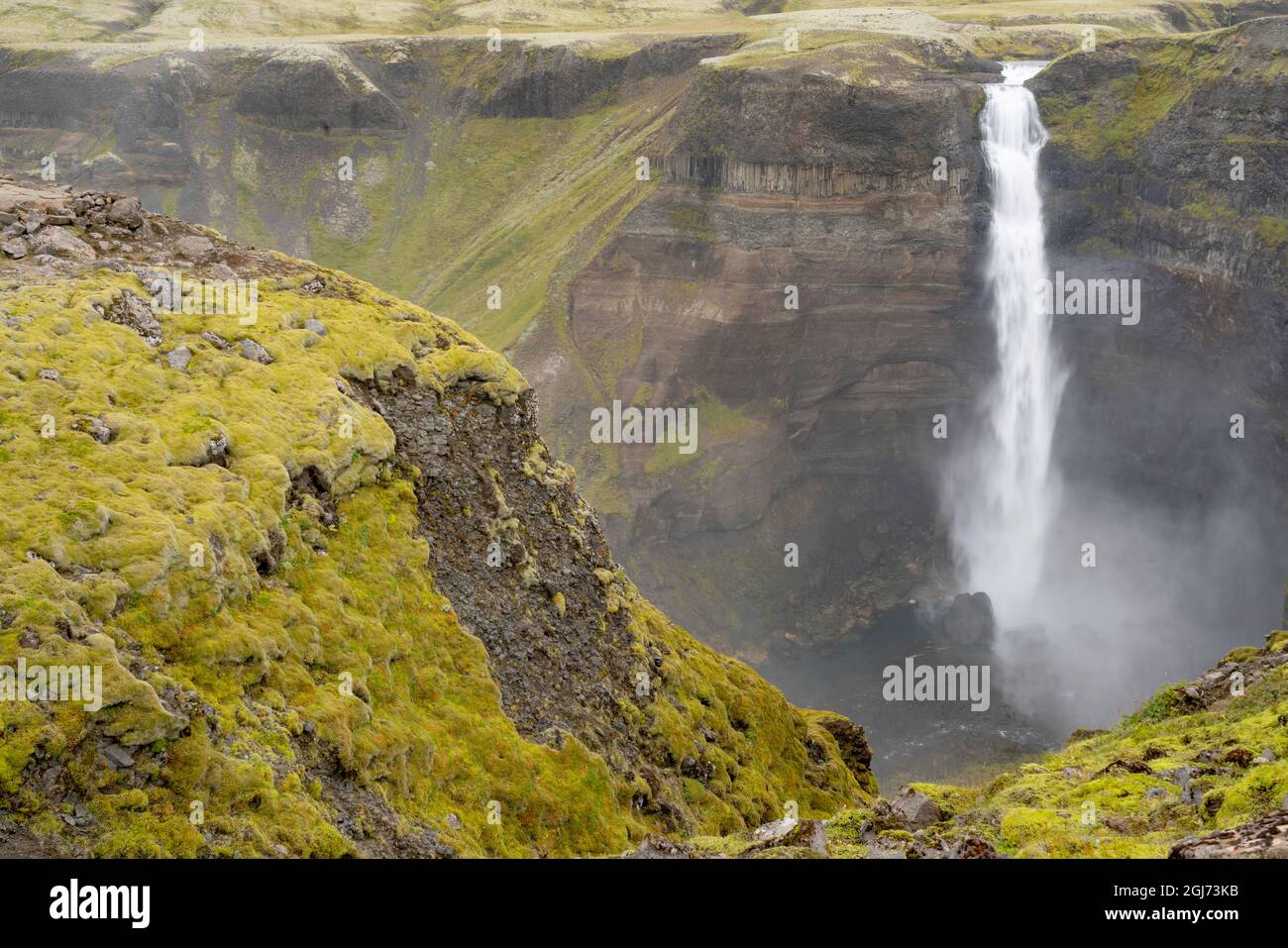 Island, Haifoss Wasserfall. Der Fossa River fließt über die moosbewachsenen Klippen und stürzt 122 Meter tief in die Tiefe. Stockfoto