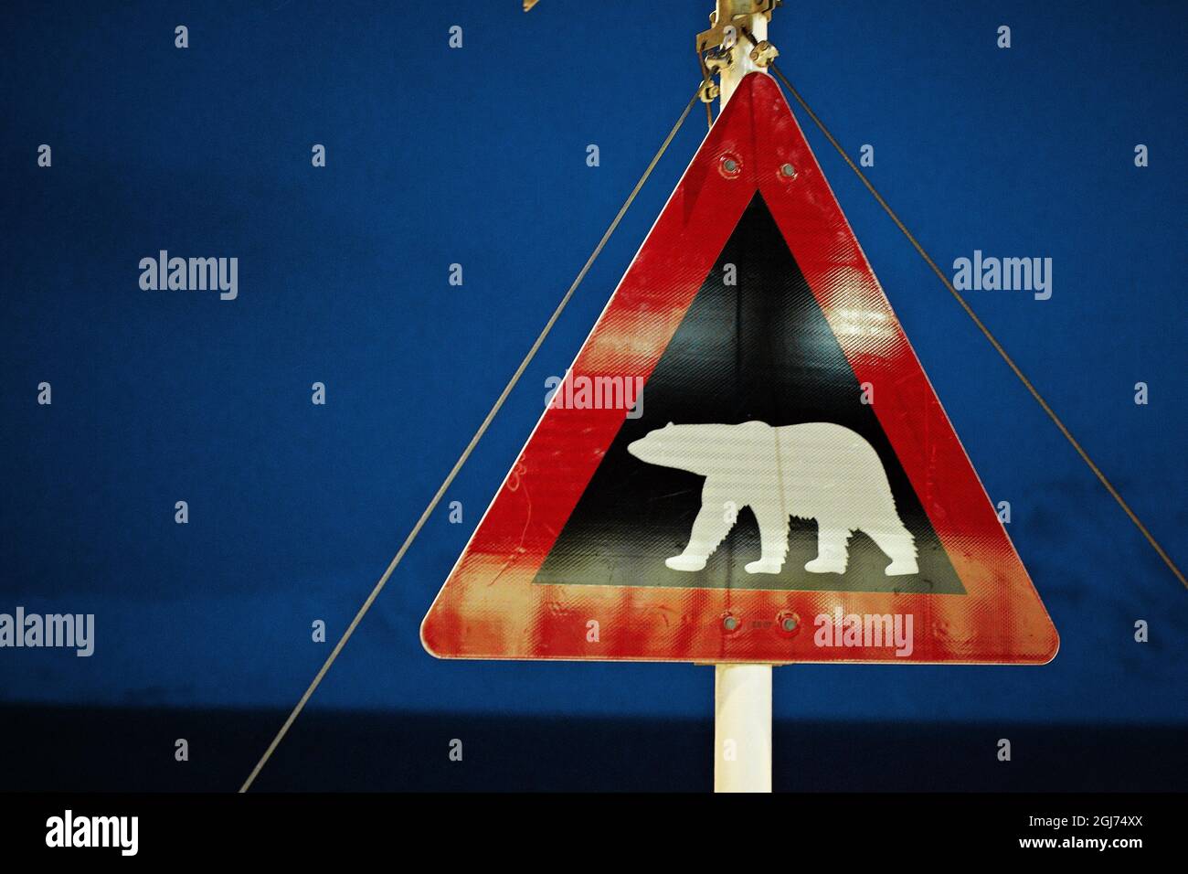 Polar bear warning -Fotos und -Bildmaterial in hoher Auflösung - Seite 3 -  Alamy