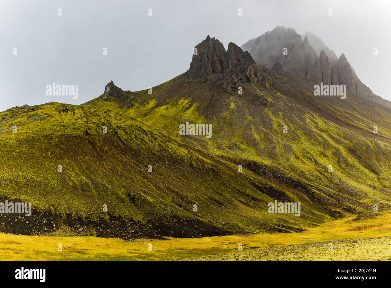 Europa, Island. Blick auf die vulkanischen Hügel und moosbedeckte Lava des Landmannalaugar-Gebiets im Hochland. Stockfoto