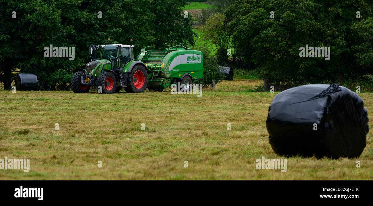 Heu- oder Silageherstellung (Landwirt im Traktor auf dem Bauernhof bei der Arbeit in ländlichen Feldern, Ballenpresse zu ziehen, trockenes Gras und runde Ballen einzusammeln) - Yorkshire England Großbritannien. Stockfoto