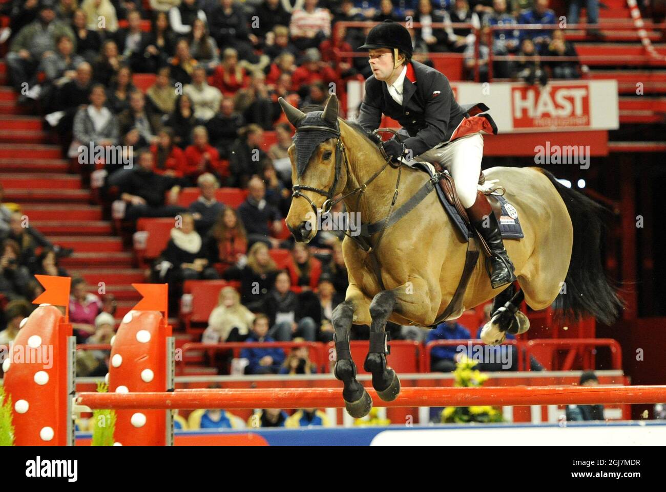 STOCKHOLM 20121130 Robert Whitaker aus Großbritannien auf Waterstone während des Internationalen Springens auf der Stockholm International Horse Show am Freitag, den 30. November 2012. Foto: Bertil Enevag Ericson / SCANPIX / Code 10000 Stockfoto