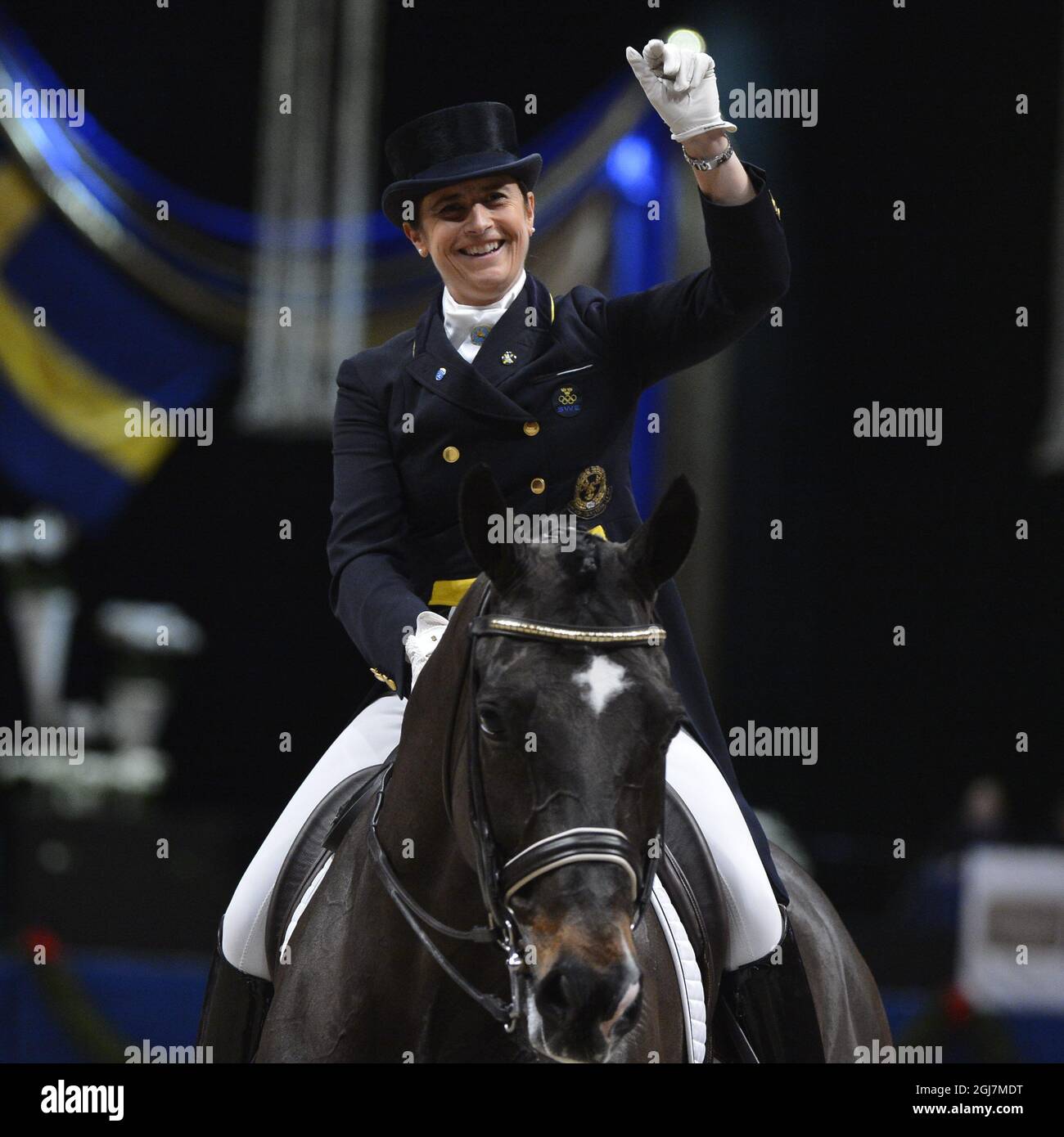 STOCKHOLM 2012-12-01 der Schwede Tinne Vilhelmson-Silfven auf Don Auriello Gesten nach dem Gewinn der FEI Grand Prix Dressur der Stockholm International Horse Show in der Globe Arena in Stockholm, Schweden, am 01. Dezember 2012. Foto Claudio Bresciani / SCANPIX / Kod 10090 Stockfoto