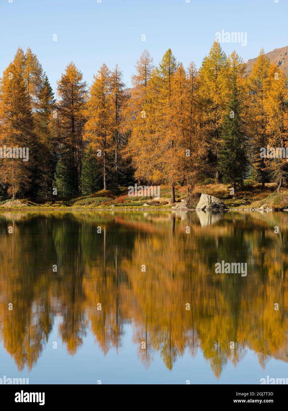 Lago San Pellegrino (Lech de San Pelegrin) im Herbst am Passo San Pellegrino in den Dolomiten, Italien. Stockfoto