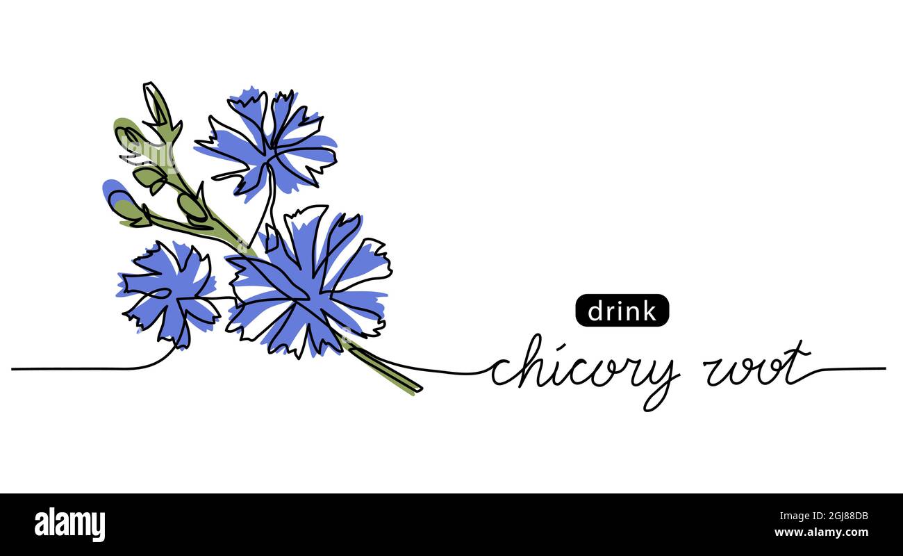 Zichorie, Sukkkkorie, Zichorium wild blau Blume Skizze. Eine fortlaufende Linienzeichnung von Chicory Stock Vektor