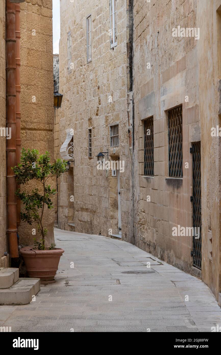 Europa, Malta, Mdina. Typische historische Gasse mit Kalkstein Gebäuden gesäumt. Stockfoto