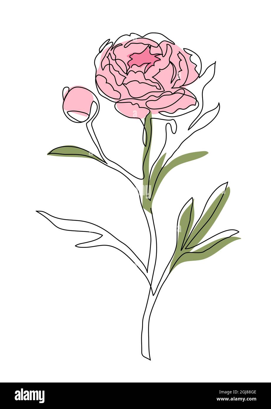 Pfingstrose Blumenbrunch kontinuierliche Linie Vektor-Design. Eine Linie Zeichnung Kunst Illustration von rosa Pfingstrose Brunch Stock Vektor