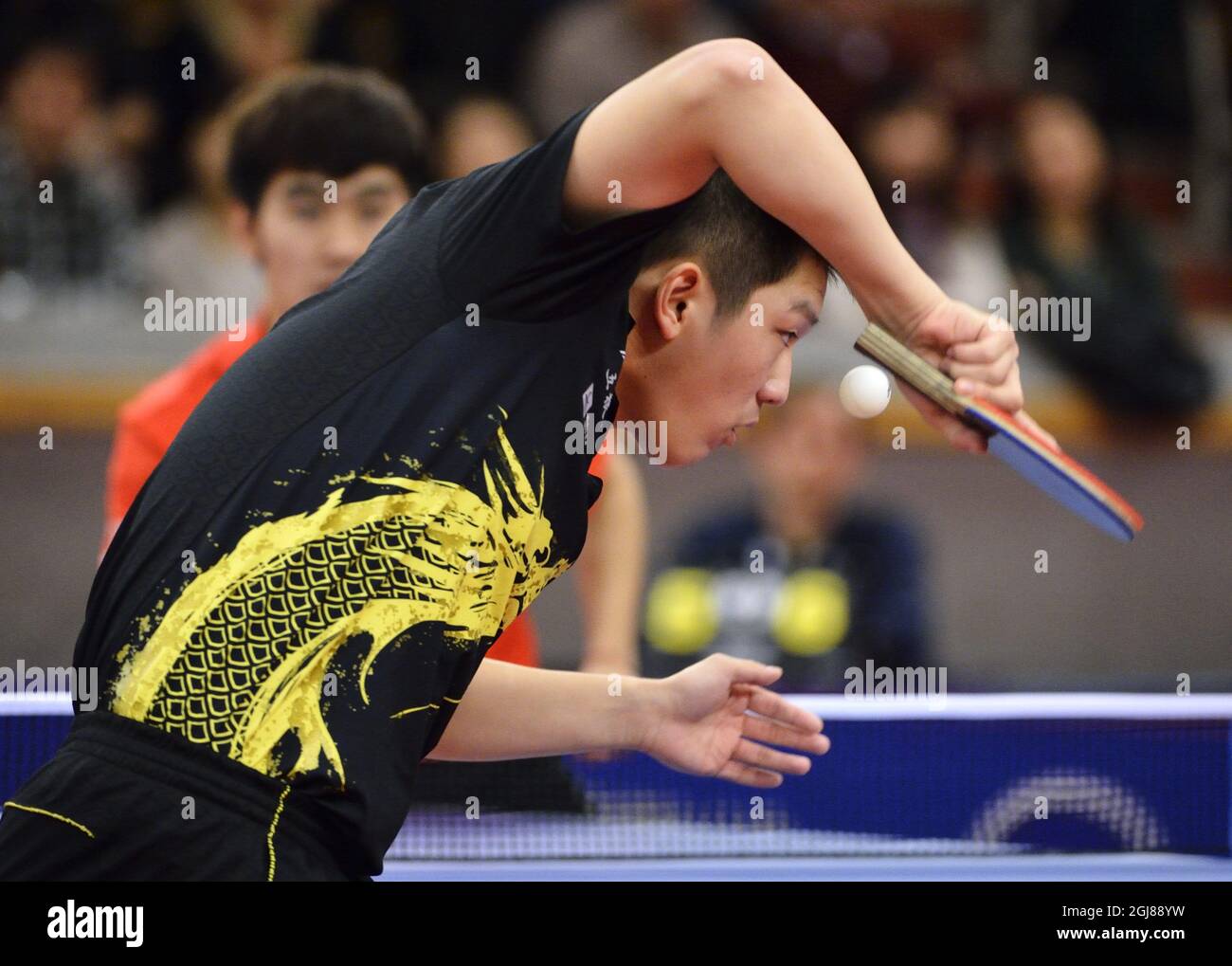 STOCKHOLM 2013-12-01 Fan Zhendong aus China verliert am 01. Dezember 2013 bei den Swedish Open Championships bei den Eriksdalshallen in Stockholm, Schweden, das Tischtennis-Endspiel gegen den Landsmann Yan an. Foto: Henrik Montgomery / TT / Code 10060 Stockfoto