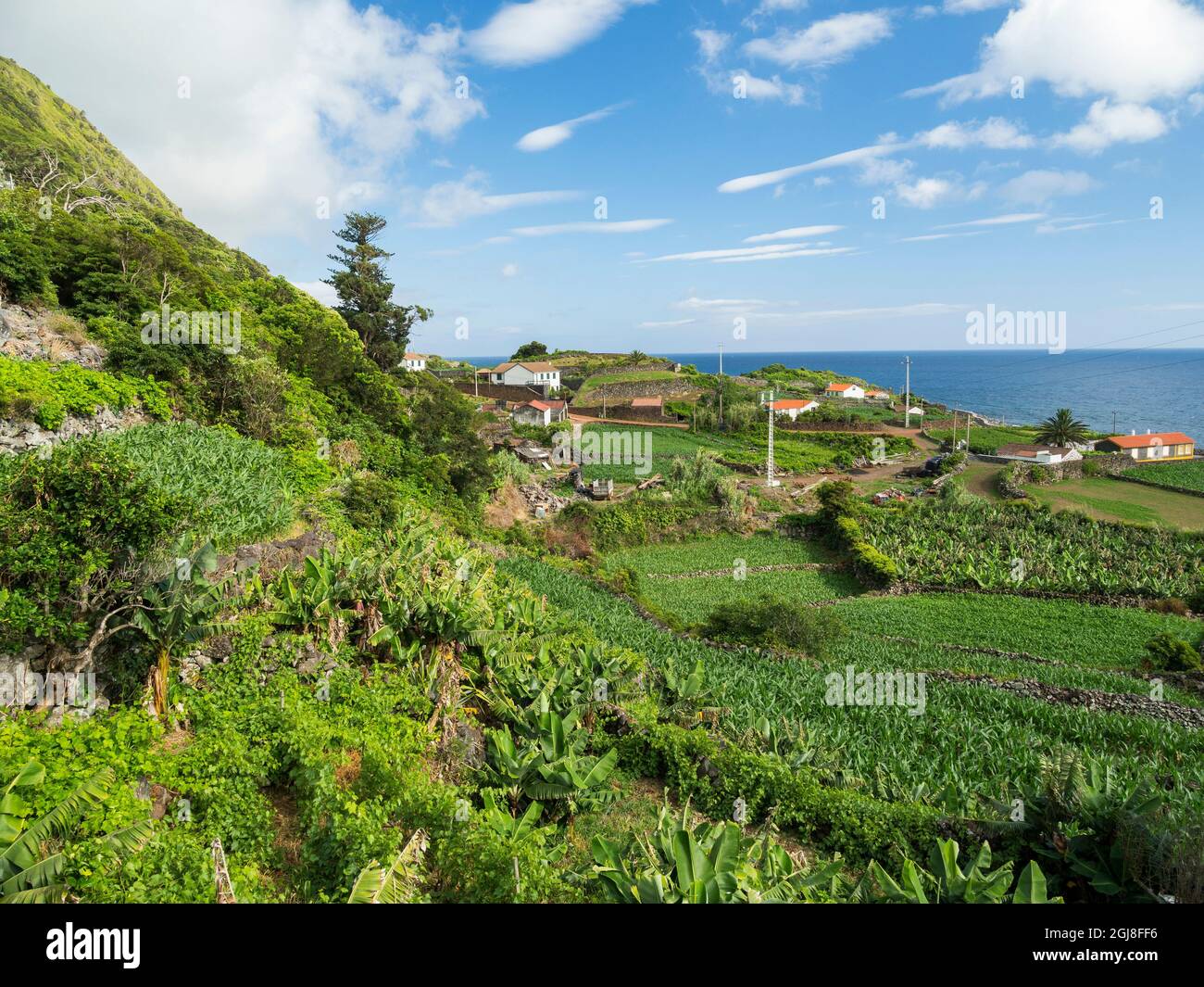 Faja dos Vimes. Sao Jorge Island auf den Azoren, einer autonomen Region Portugals. Stockfoto