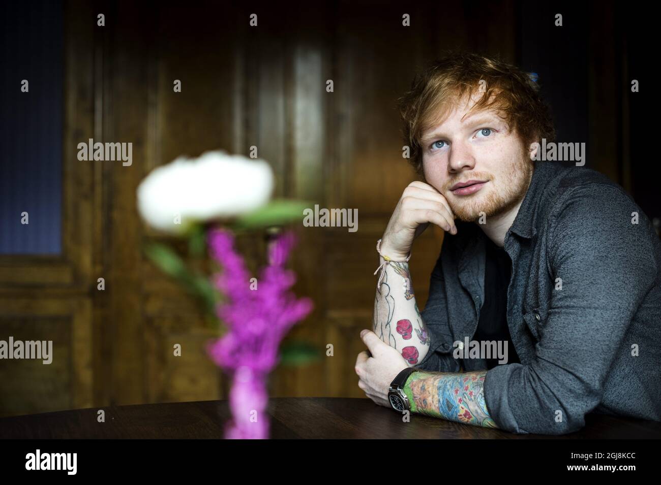 STOCKHOLM 20140602 Ed Sheeran englischer Singer-Songwriter. Foto: Pontus Lundahl / TT / kod 10050 Stockfoto