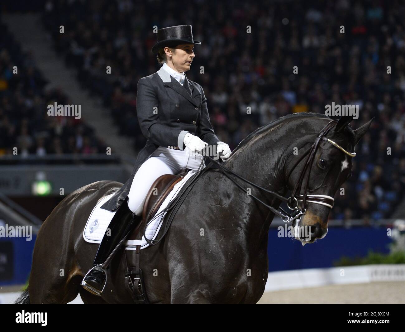 STOCKHOLM 2014-11-30 Tinne Vilhelmson SilfvÃ©aus Schweden reitet auf dem Pferd Don Auriello während des Reem Acro FEI World Cup Grand Prix KÃ¼r Dressurevents während der Sweden International Horse Show in der Friends Arena in Stockholm, Schweden, am 30. November 2014. Foto: Maja Suslin / TT / Code 10300 Stockfoto