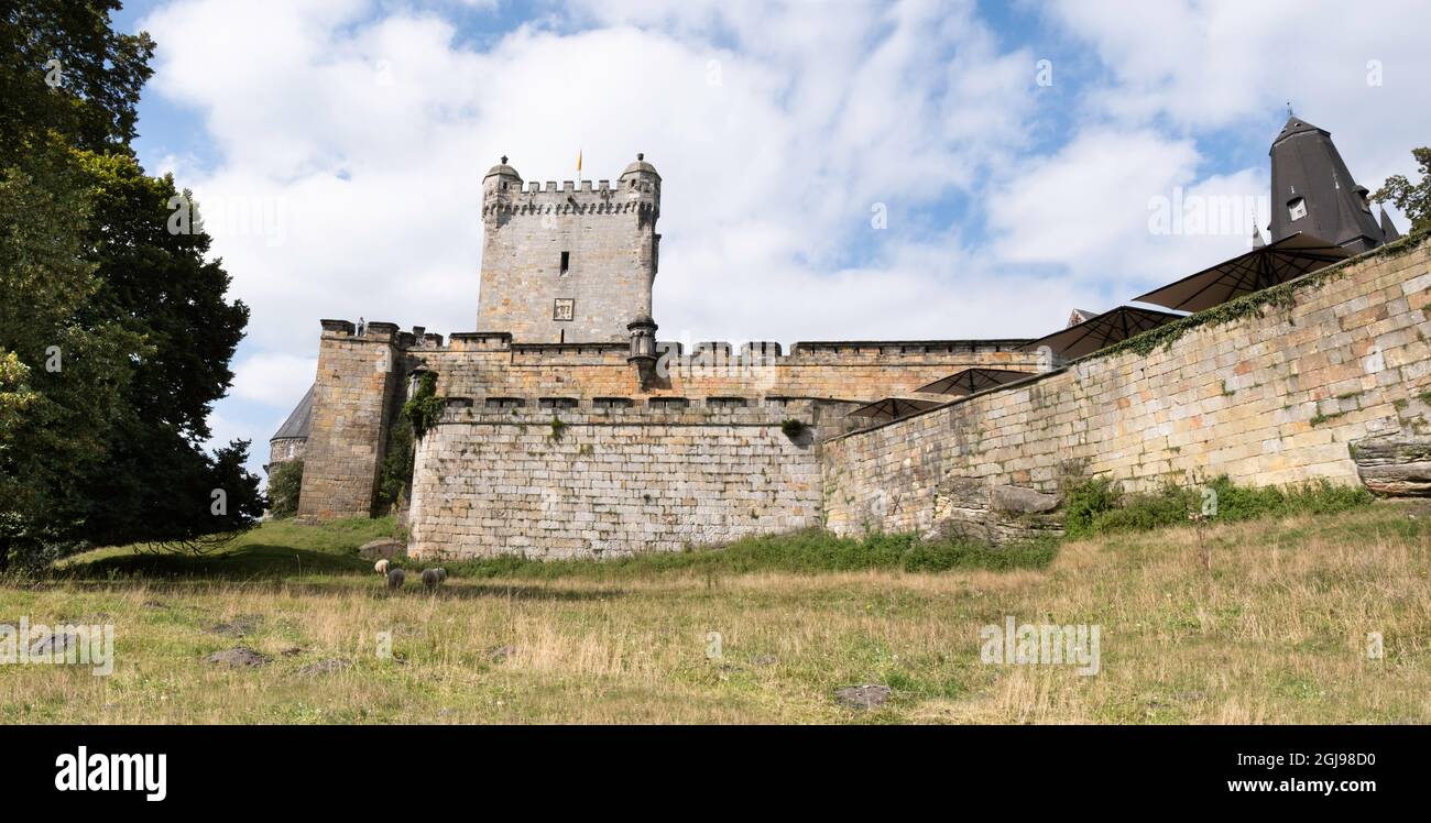 Mauer um das Schloss Bentheim aus Sandstein, ein frühmittelalterliches Hügelschloss in Bad Bentheim im niedersächsischen Bundesland. Weidende Schafe Stockfoto