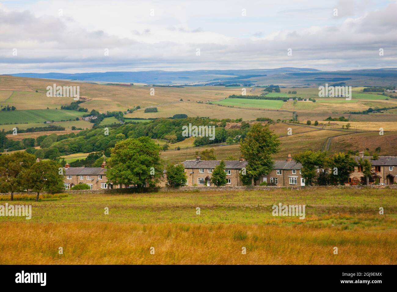 Sanfte Hügel 10 Meilen von der englischen Grenze zu Schottland. Stockfoto