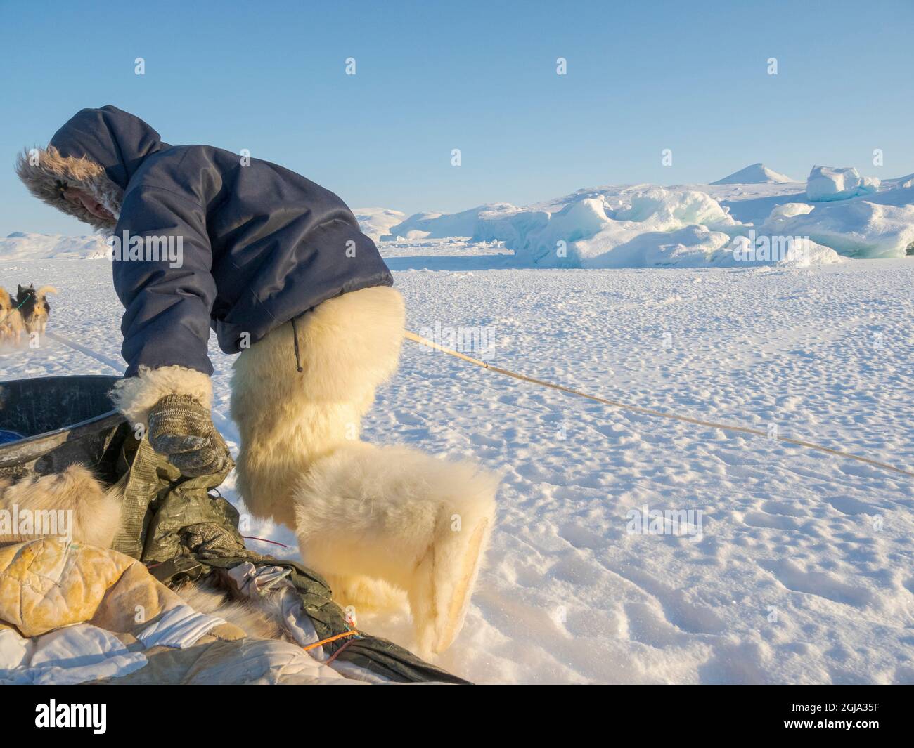 Springen auf dem Schlitten. Inuit Jäger in traditionellen Hosen und Stiefeln aus Eisbärenfell auf dem Meereis der Melville Bay bei Kullorsuaq Stockfoto
