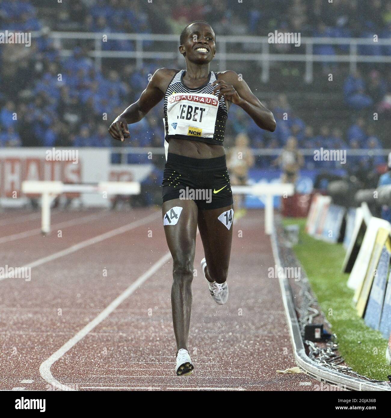 STOCKHOLM 2016-06-16 Ruth Jebet von Bahrains gewinnt die 3000-m-Hindernislauf der Frauen während der Bauhaus-Gala im Rahmen des IAAF Diamond League-Leichtathletiktreffens 2016 in Stockholm, Schweden, am 16. Juni 2016. Foto: Claudio Bresciani / TT / Kod 10090 Stockfoto