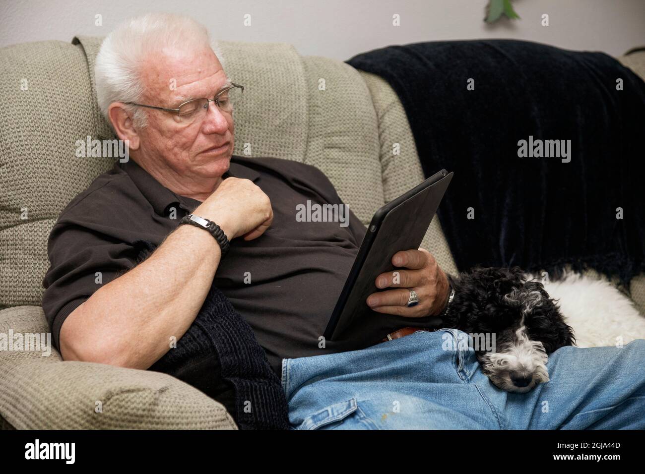 Senior spielt Spiel auf seinem Tablet neben dem Welpen. (PR, MR) Stockfoto