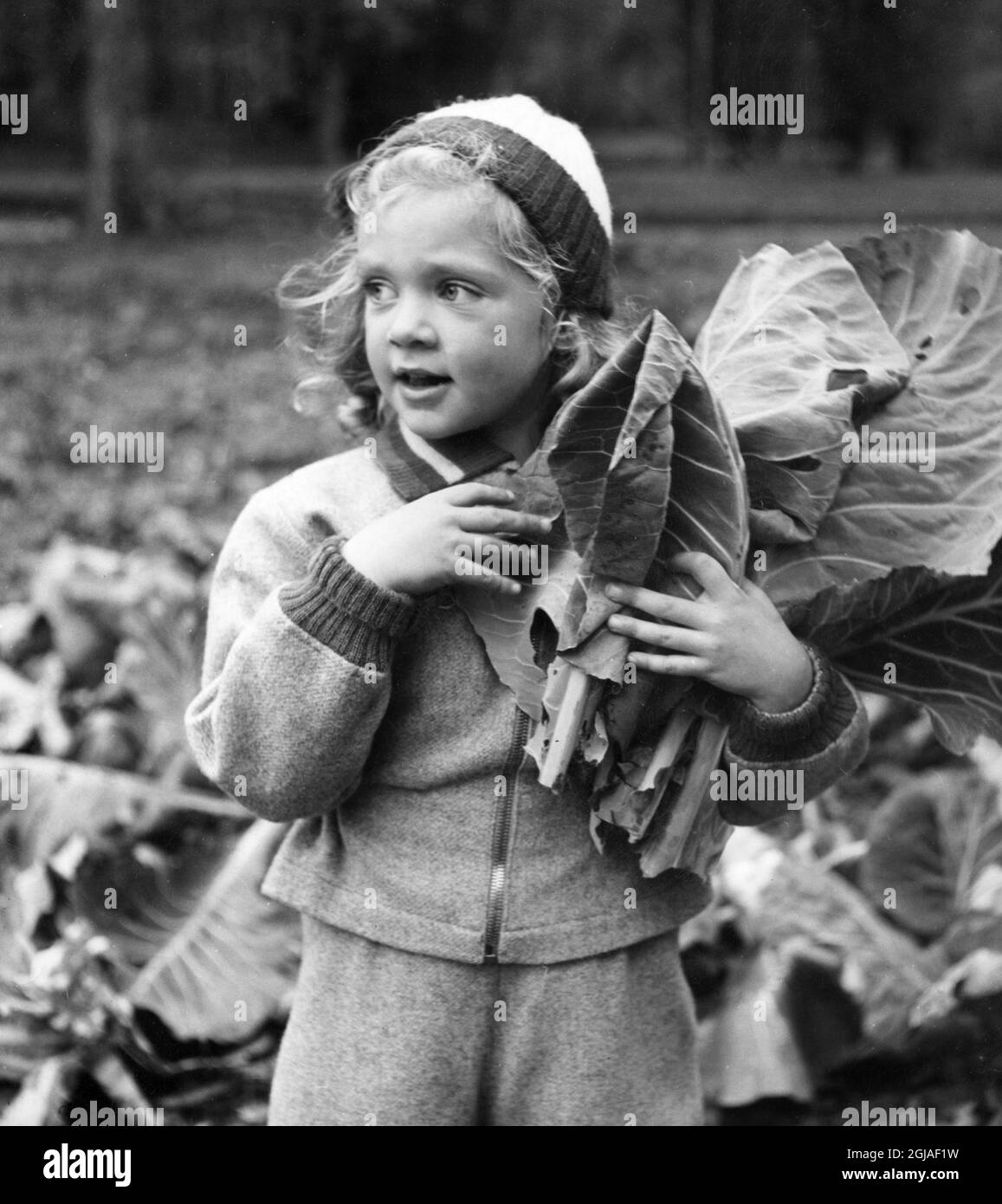 ARKIV HAGA 194110. Prinzessin Birgitta von Schweden Foto: Nordisk rotogravyr / TT / Kod: 3001 Stockfoto