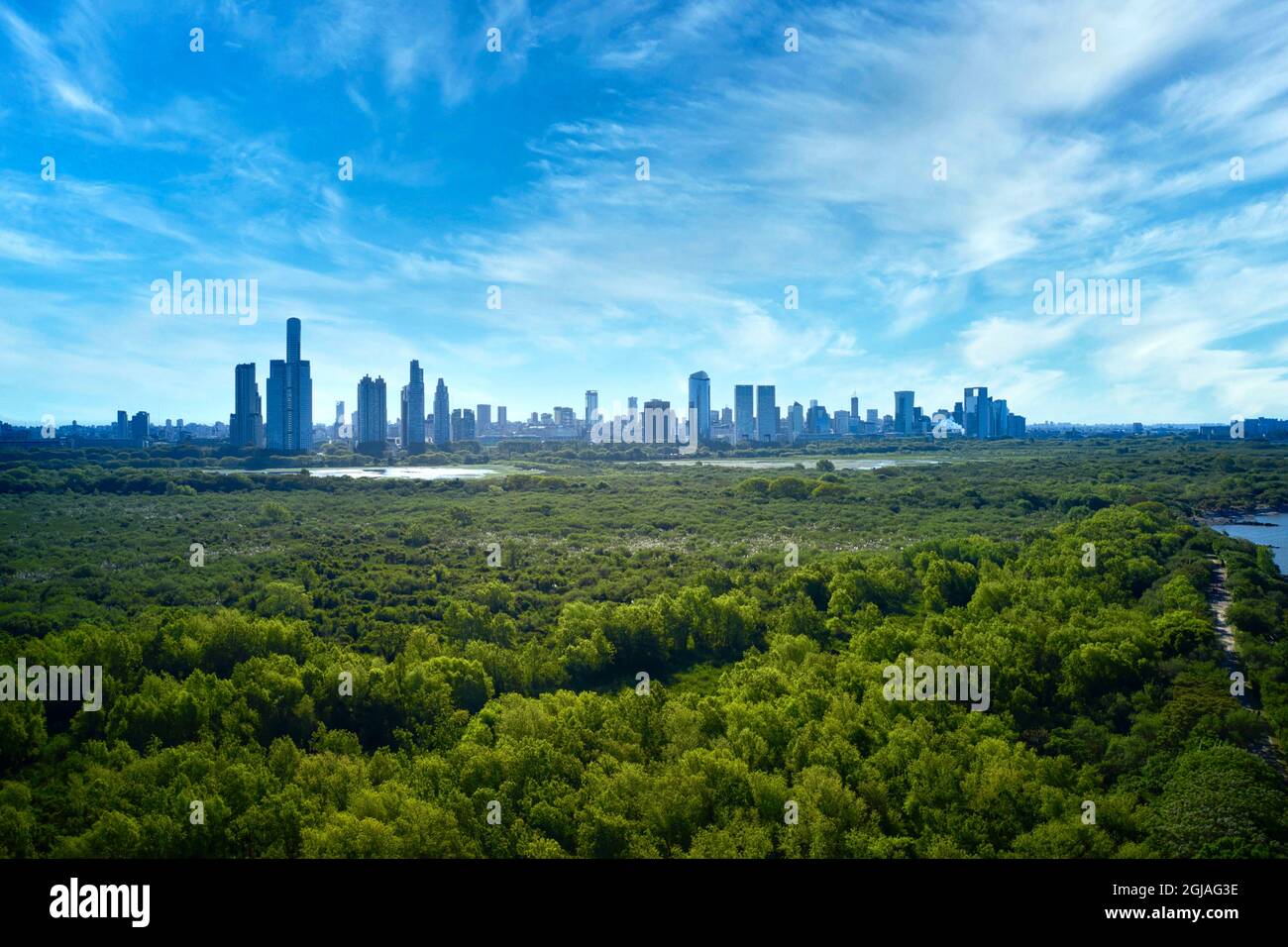 Argentinien, Buenos Aires, Skyline des Stadtteils Puerto Madero vom Naturpark Reserva Ecologica aus gesehen Stockfoto